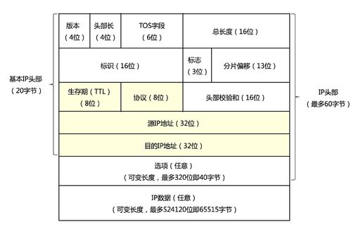 软考中级网络工程师笔记 第6章 网络互联与互联网